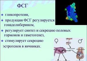 фсг норма у женщин по возрасту таблица