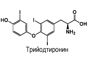 гормоны ттг т3 т4