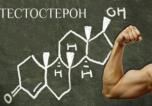 как повысить уровень тестостерона у мужчин