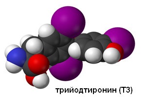 т3 свободный повышен