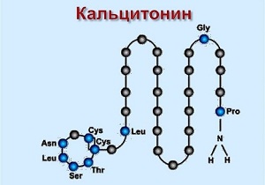 кальцитонин норма у женщин таблица