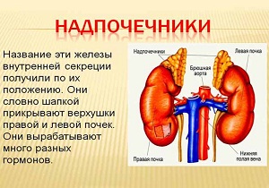 надпочечники симптомы заболевания у женщин