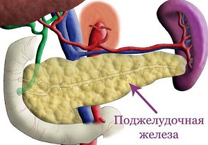 симптомы поджелудочной железы как болит у женщины