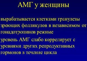 амг гормон норма у женщин