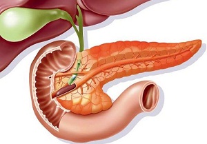 чем лечить поджелудочную железу лекарства