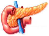 как лечить поджелудочную железу