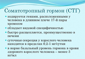 соматотропный гормон повышен