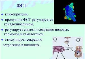 анализ фсг