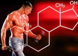 Норма свободного тестостерона у мужчин, причины отклонений и способы нормализации уровня гормона функции свободного тестостерона у мужчин