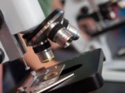 Покровные стекла для микроскопа и их особенности