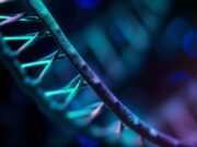 ДНК-тест: ключ к генетической гармонии и здоровью