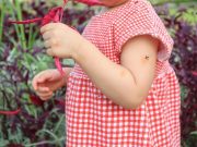 Аллергия на комариные укусы у детей — как распознать и помочь