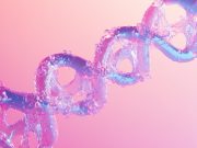Почему организм не усваивает коллаген