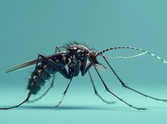 Дезинсекция ресторана: ее особенности и основные методы