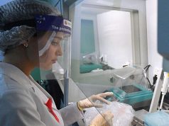 Мариуполь стал участником федеральной программы донорства костного мозга