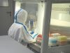 Центр «Вектор» выявил в России более 60 неизвестных вирусов