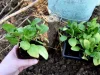 Эксперт Солнцева раскрыла, какие продукты помогут бороться с тревожностью