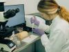 ФМБА сообщило о результате испытаний новой вакцины от аллергии на березу