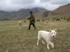 Республики Северного Кавказа сохранили лидерство в рейтинге ЗОЖ