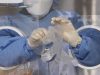 Reuters: вирус птичьего гриппа может стать более опасным, чем коронавирус