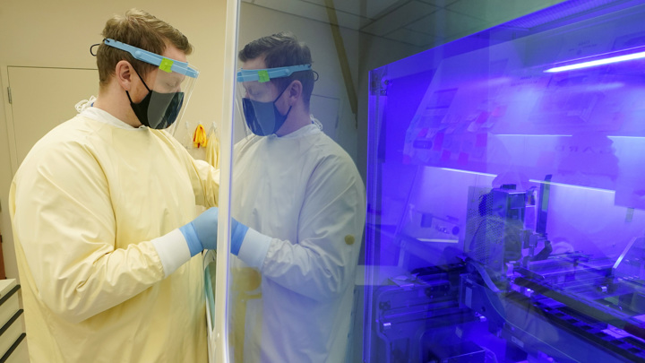 Врач Малинникова: вирус H5N5 пытается преодолеть межвидовой барьер