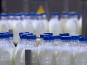 Глава «Логики молока»: молочная продукция – альтернатива йодированной соли
