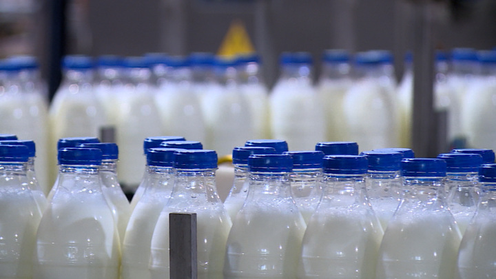 Глава "Логики молока": молочная продукция – альтернатива йодированной соли