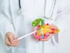 Small: белок коллаген может мешать лечению рака поджелудочной железы