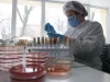 ВОЗ не нашла связи между потерей памяти и вакцинацией от COVID-19