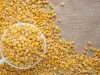 Врач Степаненко назвала лучшие дешевые продукты для восполнения витаминов