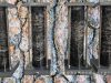 Сосновая кора может удалить до 90% лекарственных загрязнителей из сточных вод