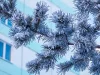 Плохое качество воздуха в субботу: уровень загрязнения достиг тревожных показателей