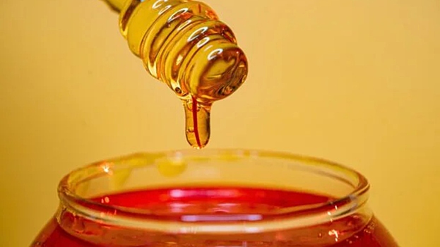 Нутрициолог перечислила полезные свойства разных видов меда