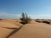 Noticias ambientales: Сахара была плодородной территорией