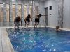 Минздрав: посещающих сауны и бани мужчин направят на спермограмму