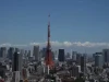 В Японии выявили новый подтип рака крови у подростков