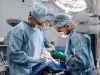 Новосибирские ученые научились оживлять сердца через 20 минут после остановки