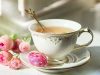 Nutrients: высокое потребление кофе ухудшает состояние костей у пожилых женщин