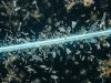 Создано притягивающее микробов оптоволокно