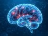 Для сложных когнитивных процессов сознание оказалось ненужным