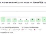 Прогноз магнитных бурь по часам на 30 мая 2026 года. Инфографика