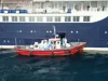 ВОЗ: число случаев заражения хантавирусом на лайнере MV Hondius достигло 11