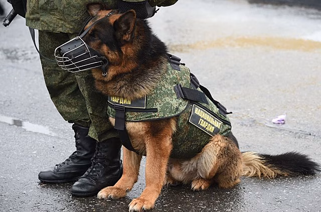 На службу в Росгвардию не возьмут кандидатов с заниженной самооценкой