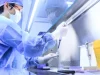 Российские ученые создадут ПЦР-тесты для поиска опасных паразитов в воде