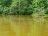 Подросток пять лет живет в пруду из-за редкой болезни