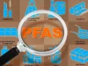 Учёные нашли способ снижать PFAS и микропластик в крови