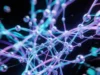 Бесплатная нейросеть для изображений в 2026 году: как быстро выбрать и выгодно запустить