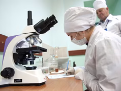 В Роспотребнадзоре разработали новый тест для быстрого выявления Candida auris