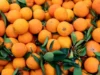 Врач Павлова назвала продукты, помогающие укрепить сосуды