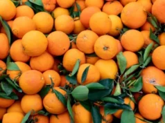 Врач Павлова назвала продукты, помогающие укрепить сосуды